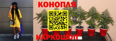 2c-b Заводоуковск
