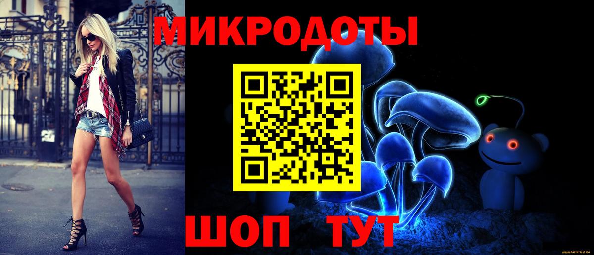 Галлюциногенные грибы Psilocybe Минусинск
